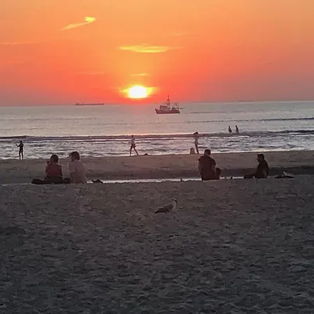 Zeeduin Amsterdam * Zandvoort