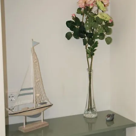 Zeeduin Amsterdam Zandvoort