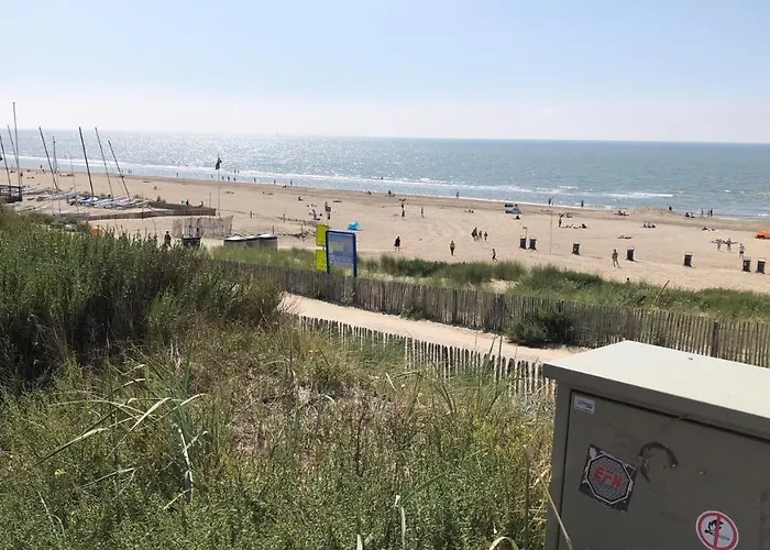 Zeeduin Amsterdam * ザントフォールト