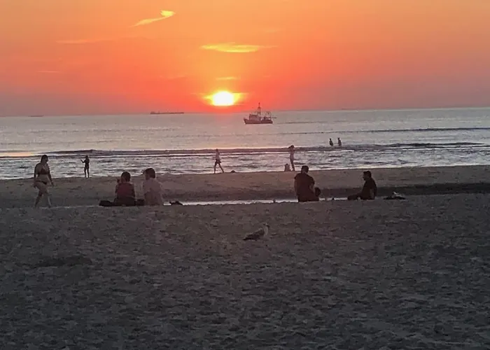 Zeeduin Amsterdam * ザントフォールト