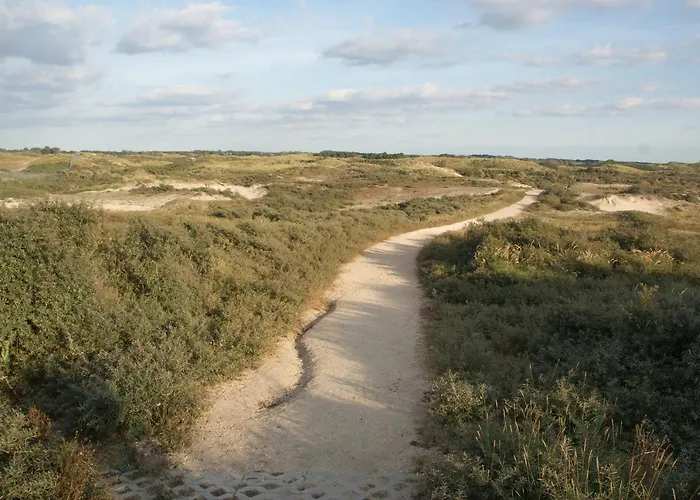 Zeeduin Amsterdam ザントフォールト