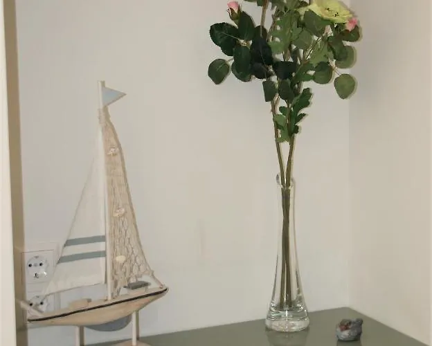 Zeeduin Amsterdam ザントフォールト